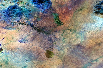 N 028B